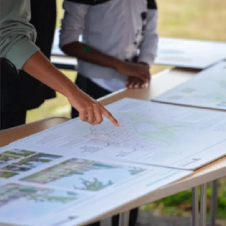 Druids Heath Shaping The Vision