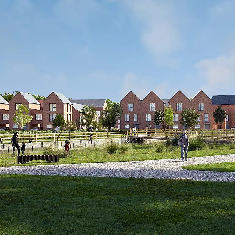 Druids Heath Vision